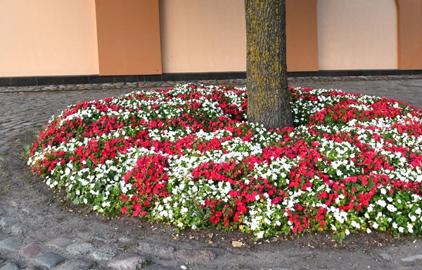 Flower Beds s
